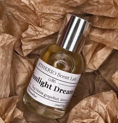 Sunlight Dream - Image 2
