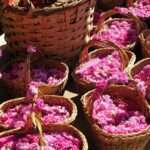 Αιθέριο Έλαιο Bulgarian Rose