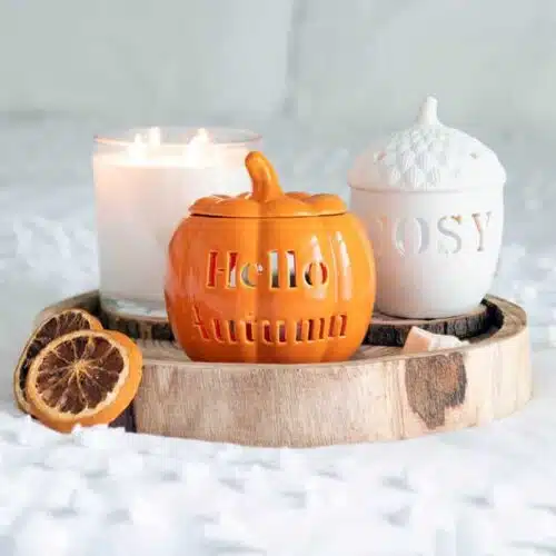 Acorn TeaLight 4 Acorn TeaLight - Image 4
