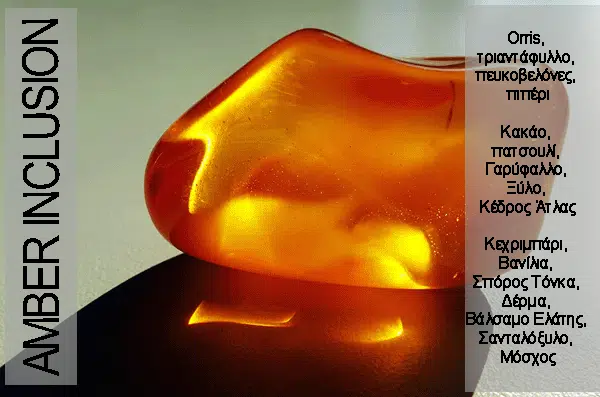 Amber Inclusion 1 Amber Inclusion