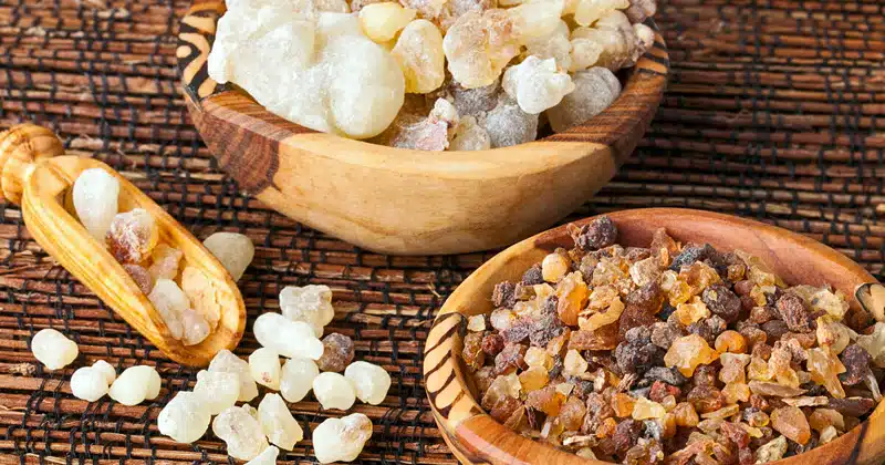 Frankincense and Myrrh (Λιβάνι & Μύρο) 1 Frankincense and Myrrh (Λιβάνι & Μύρο)