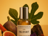 Fig It Out