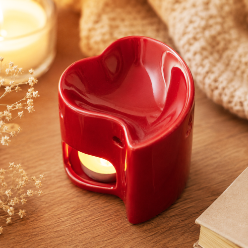 Red Heart Wax Melter